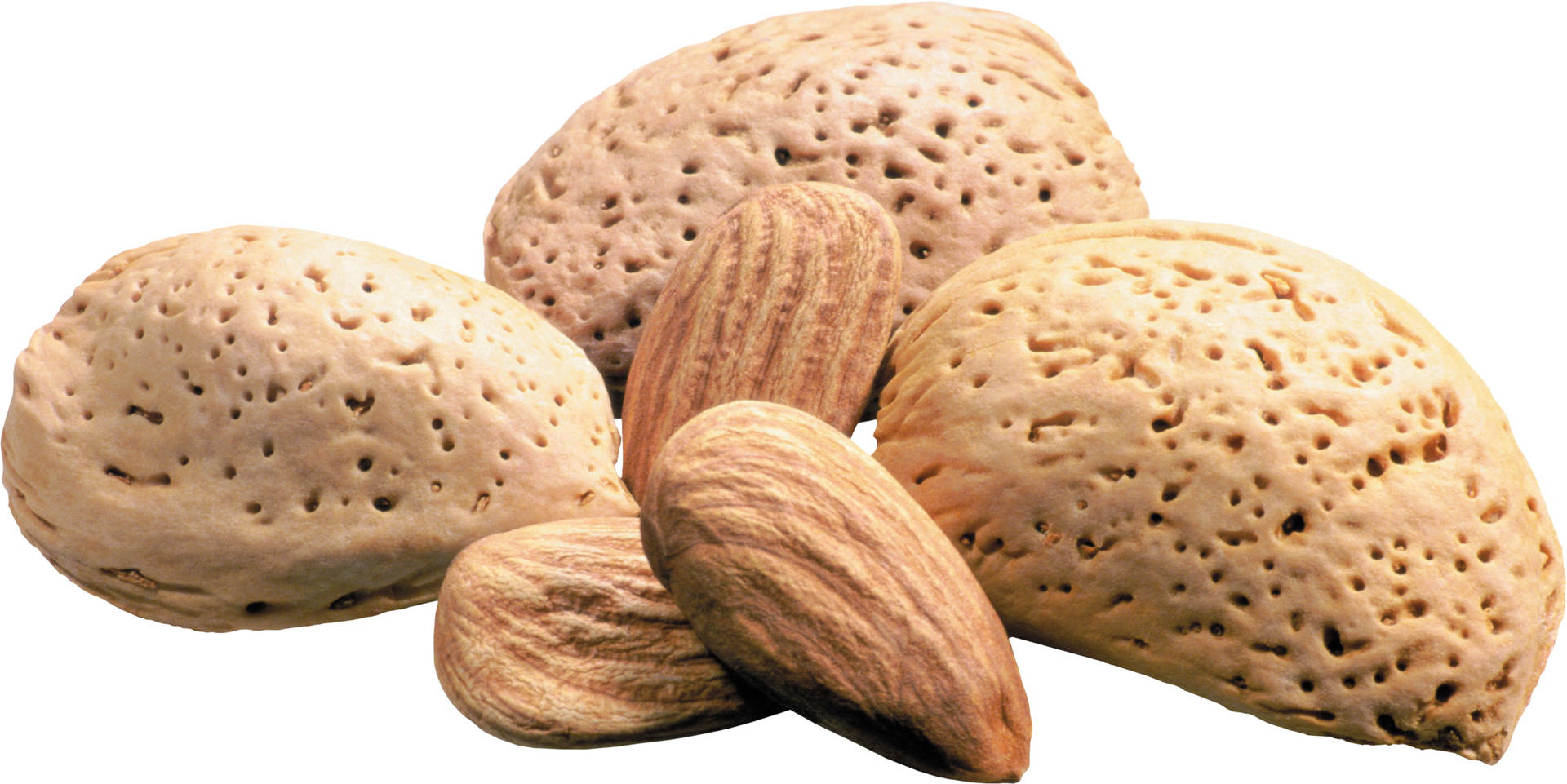 Organic Almond Shells Background