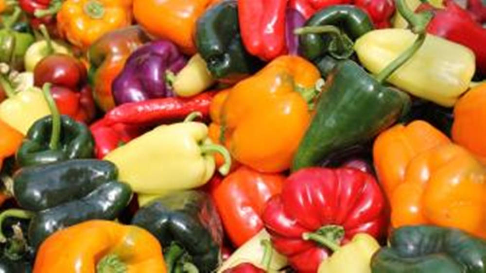 Organic Bell Pepper Pile In Different Varieties Background
