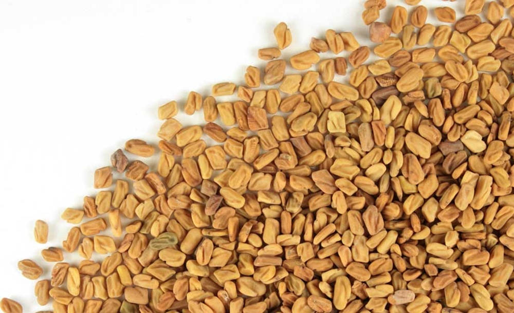 Organic Fenugreek Seeds Background