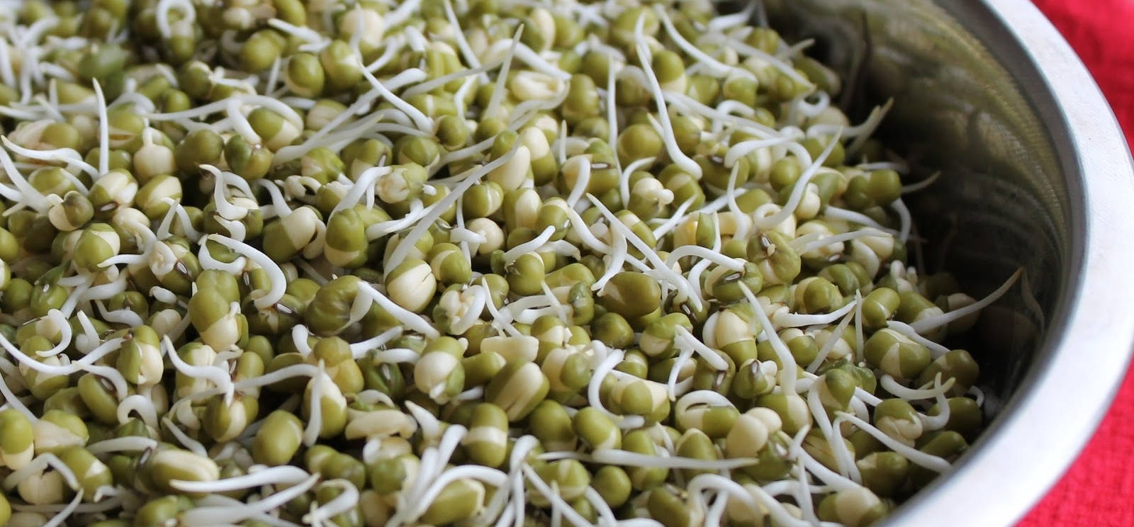 Organic Green Bean Sprouts Vegetable Background