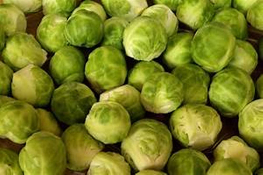 Organic Green Brussels Sprouts Vegetable