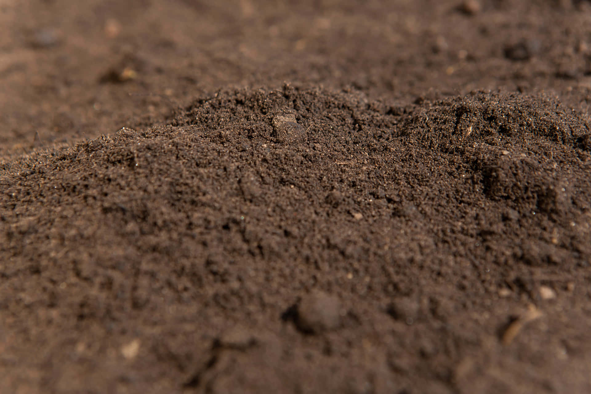 Organic Soil For Healthy Gardening Background