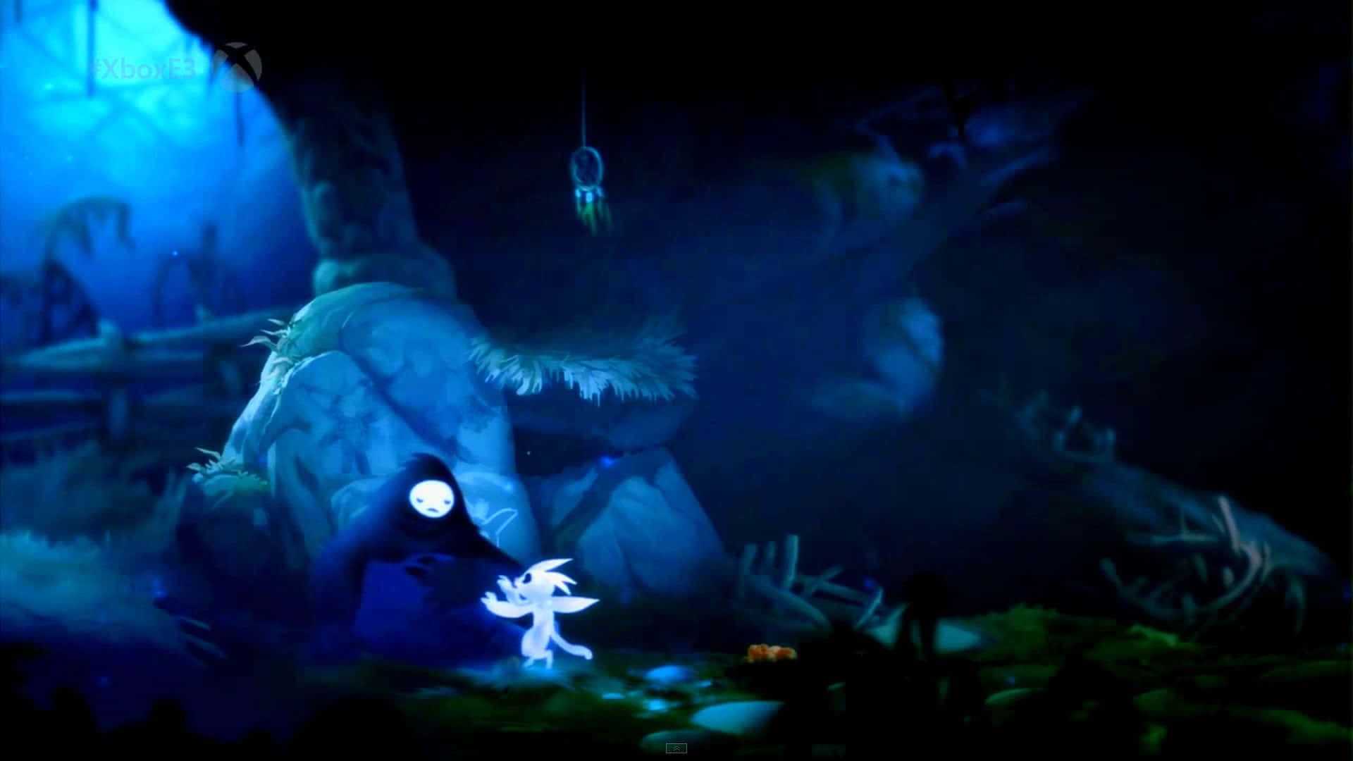 Ori And The Blind Forest Video Game Background