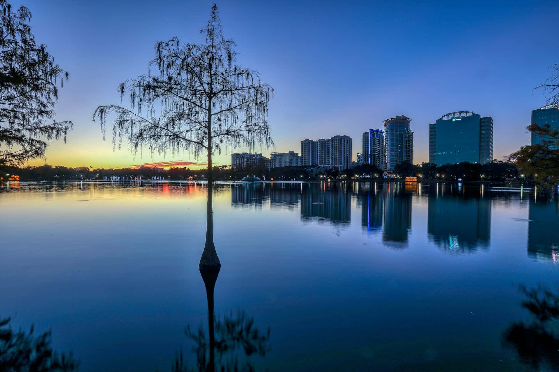 Orlando Lake Eola Park Dusk Skyline Background