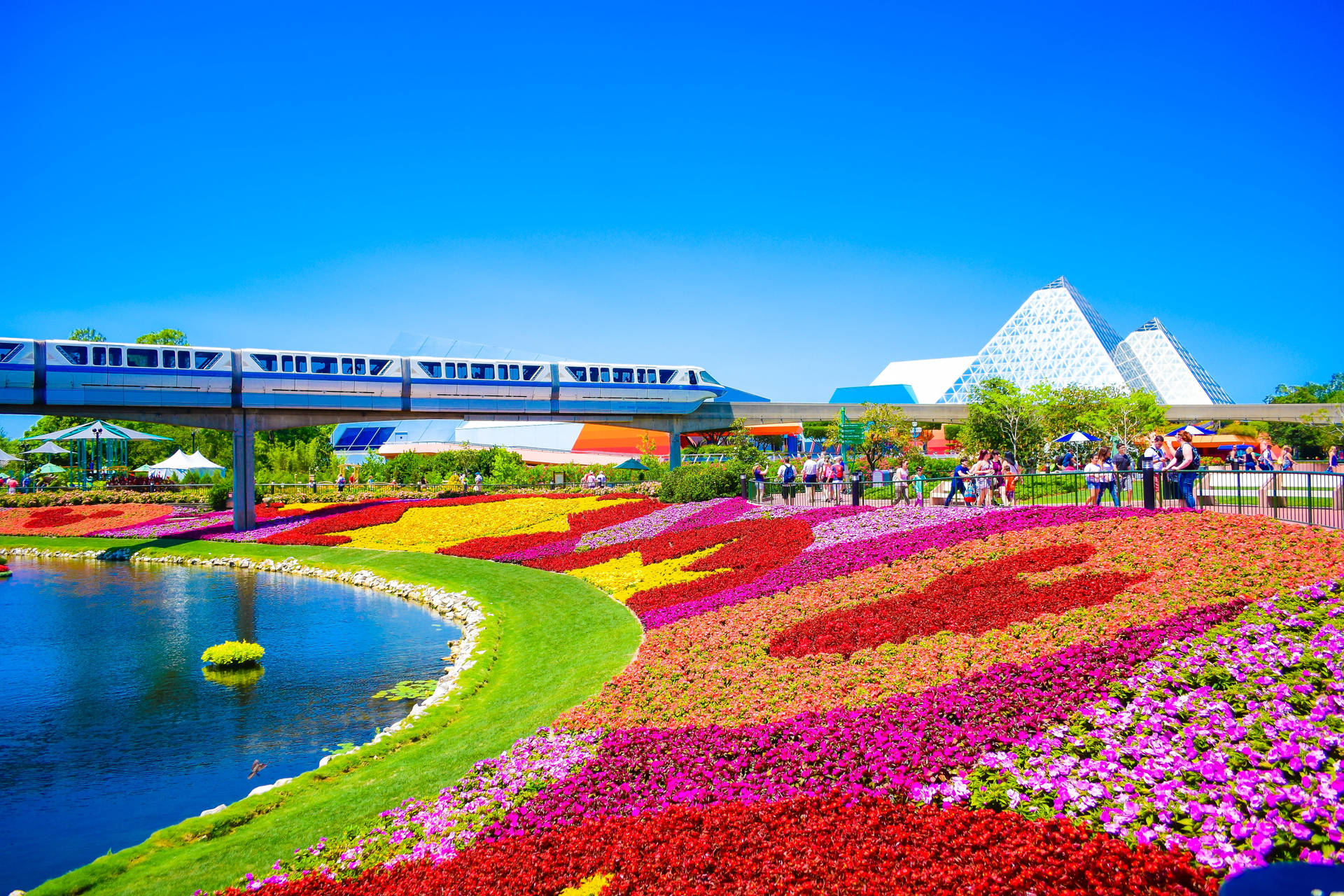 Orlando Theme Park Monorailand Floral Display Background