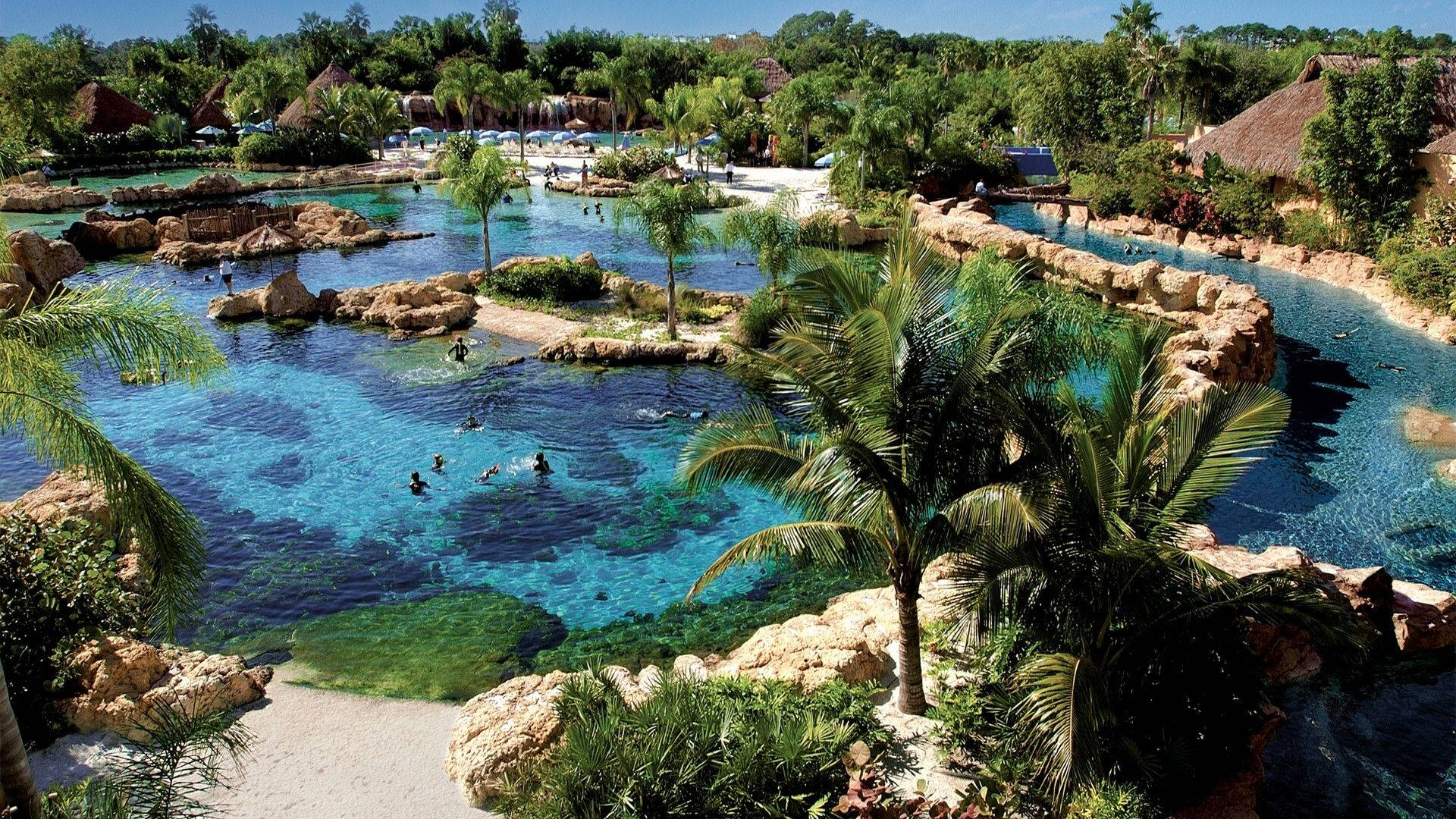 Orlando Tropical Water Park Oasis Background