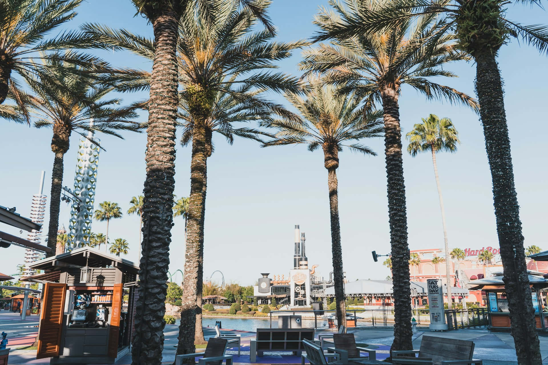 Orlando Universal City Walk Palm Trees Background