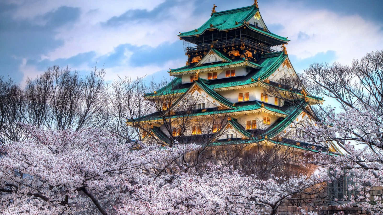 Osaka Castle Cherry Blossoms Springtime Background