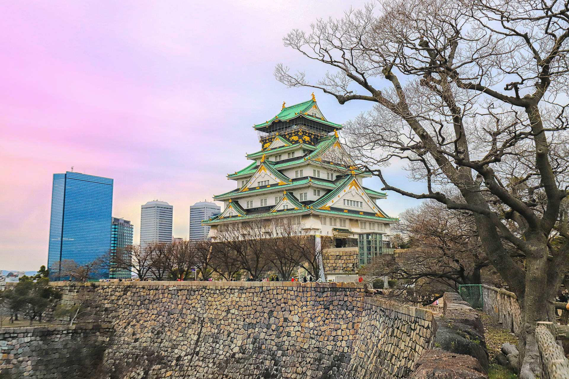 Osaka Castle Cityscape Background