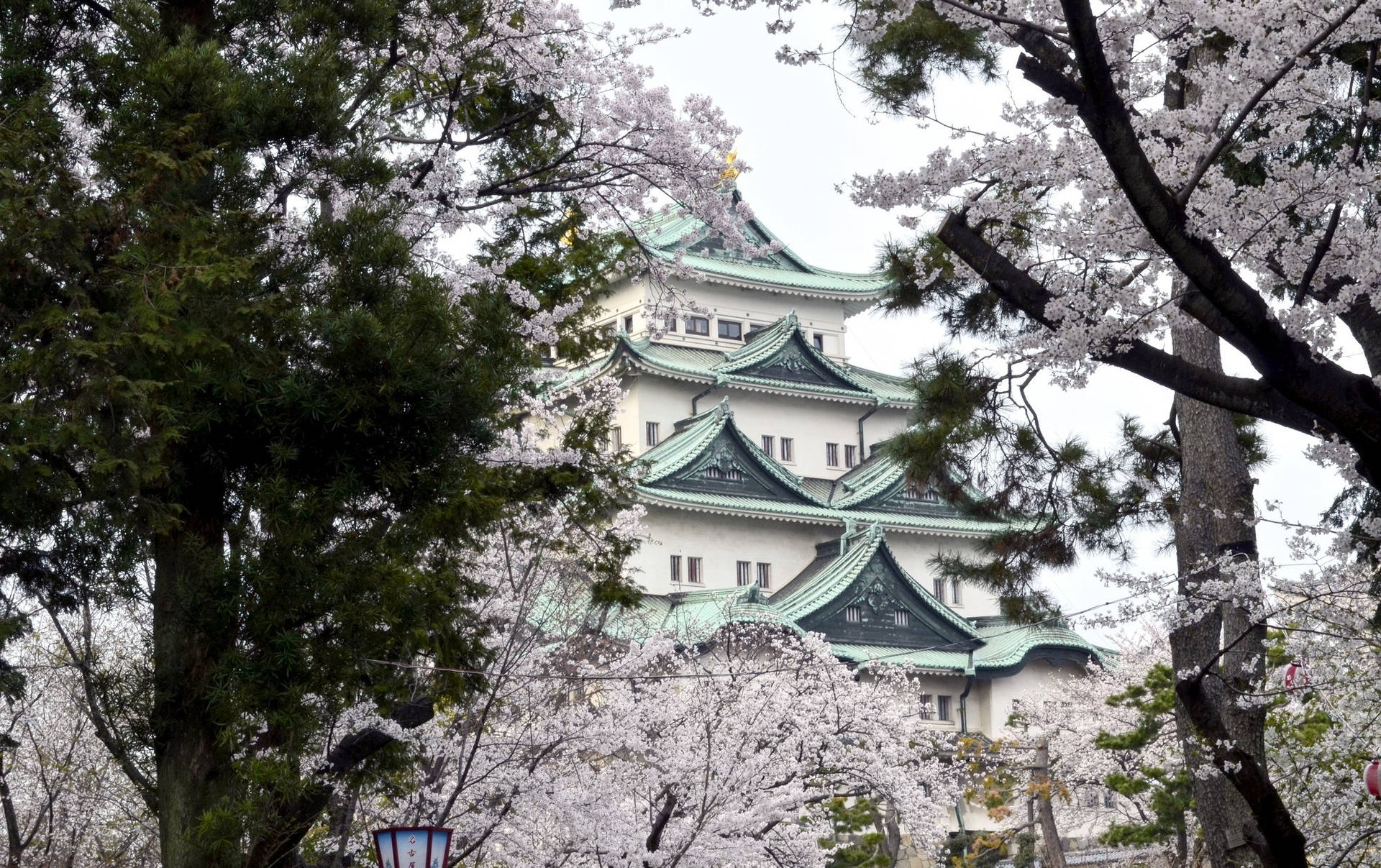 Osaka Castle Giant Yoshino Trees Background