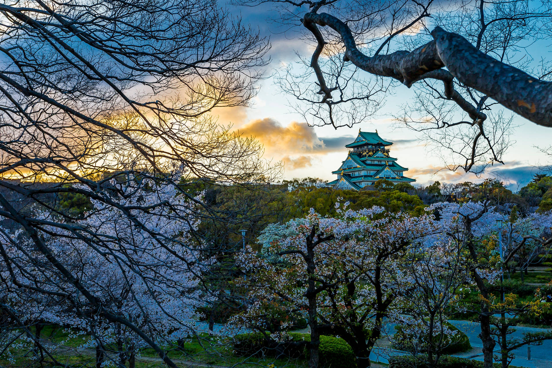 Osaka Castle Picturesque View Background