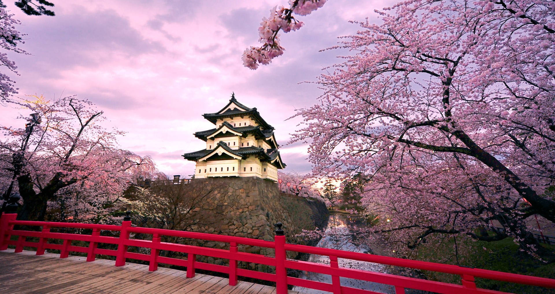 Osaka Castle Pink Sky Background