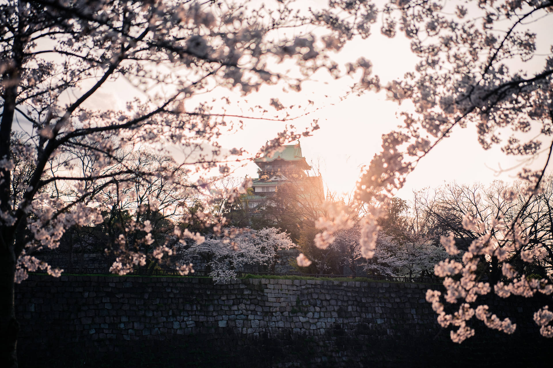 Osaka Castle Twilight Sun Rays Background