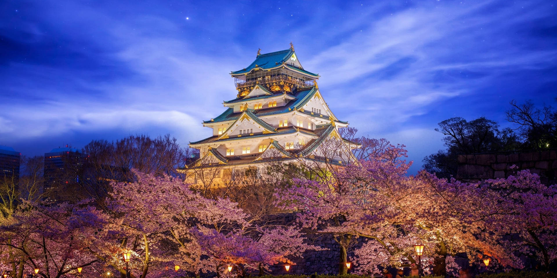 Osaka Castle With Cherry Blossoms Background