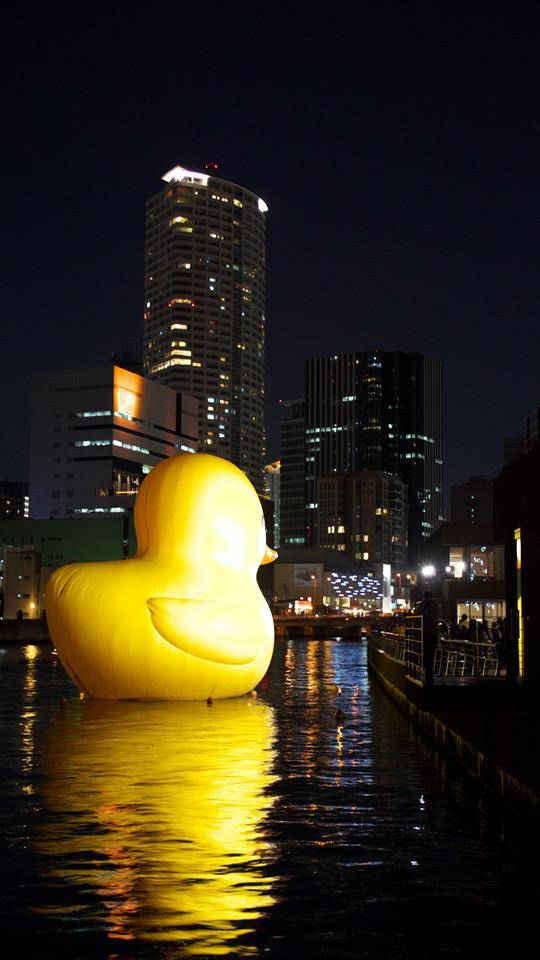 Osaka Giant Rubber Duck Background