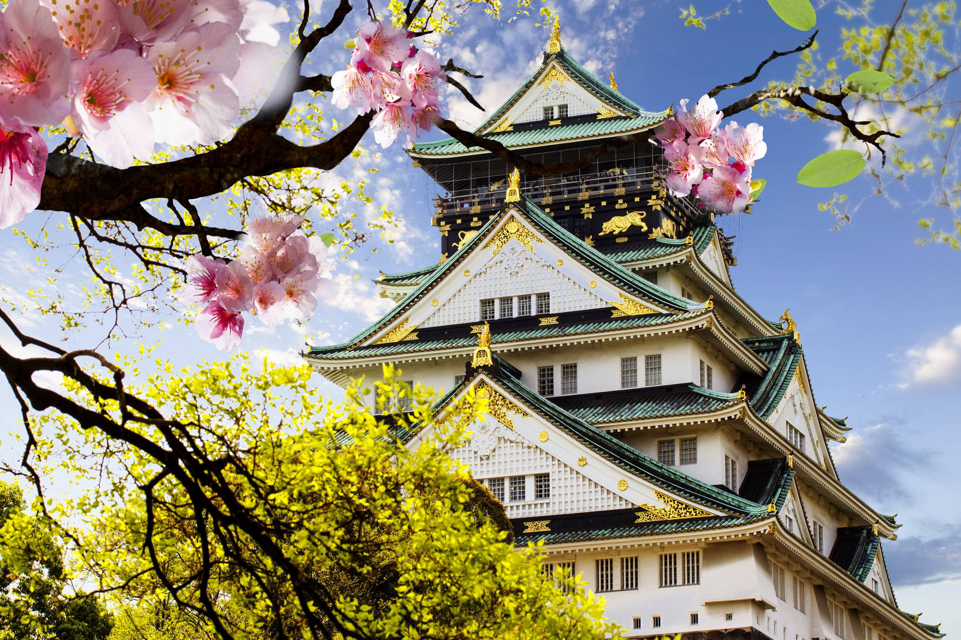 Osaka Japanese Castle Background