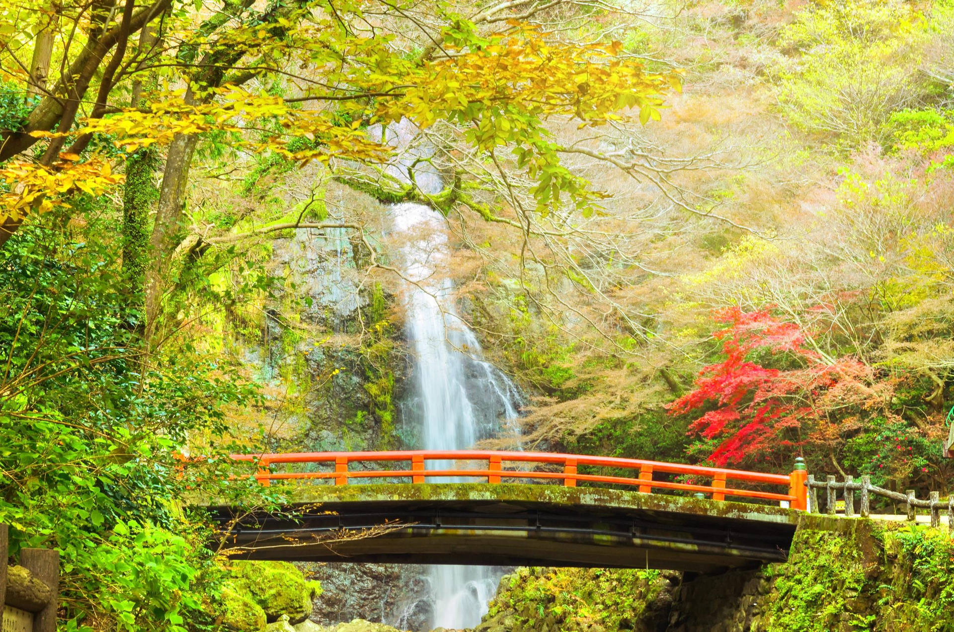 Osaka Minoo Falls Background