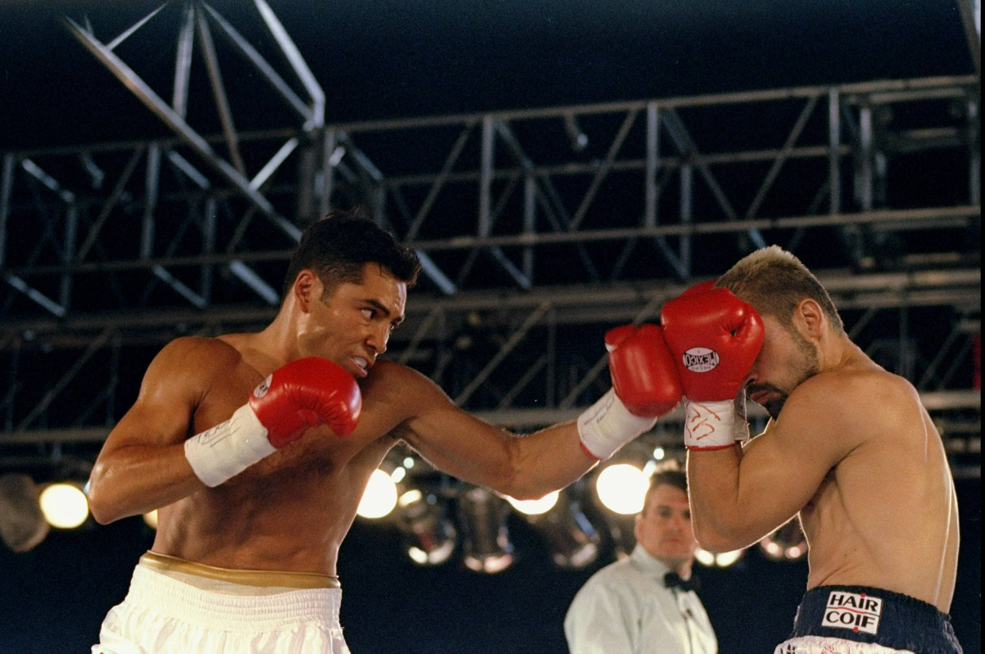 Oscar De La Hoya Boxing Punch