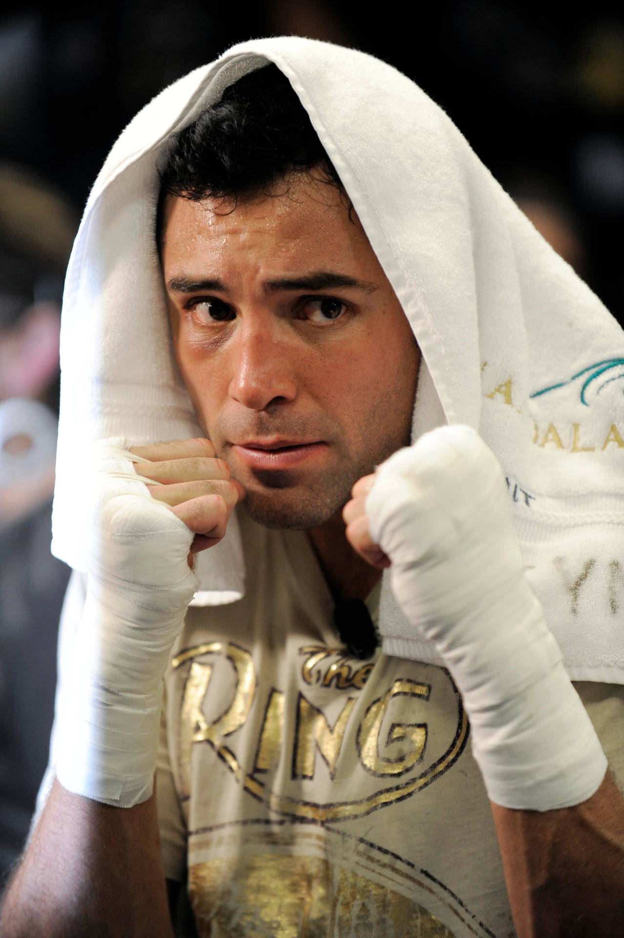 Oscar De La Hoya Fists Raised Background