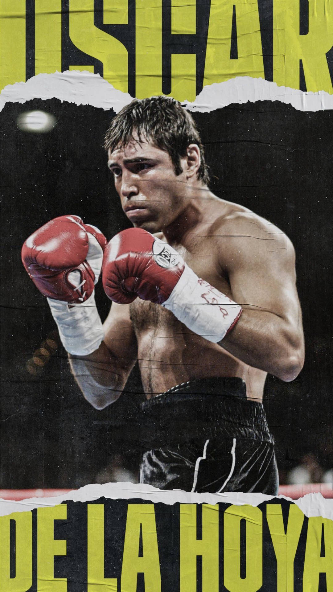 Oscar De La Hoya Poster Background