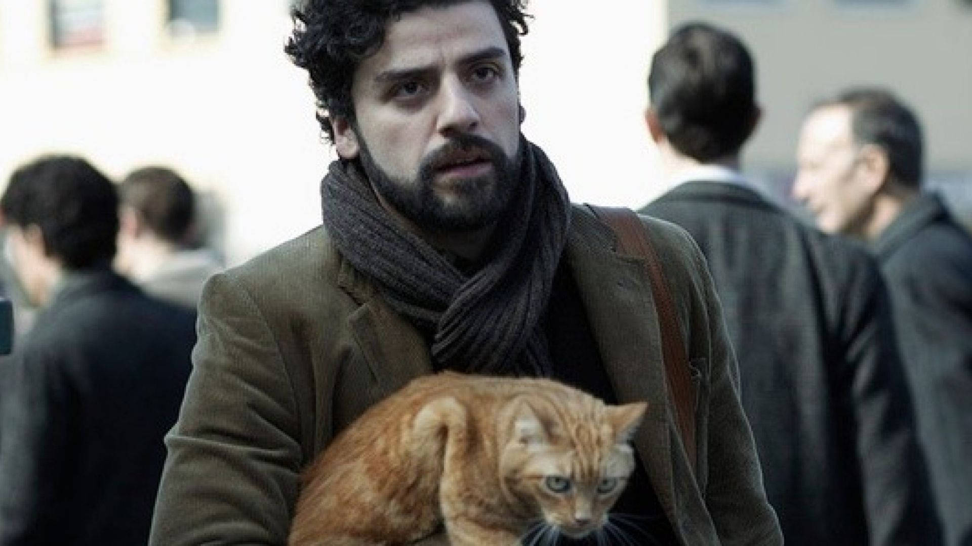 Oscar Isaac Holding A Cat Background