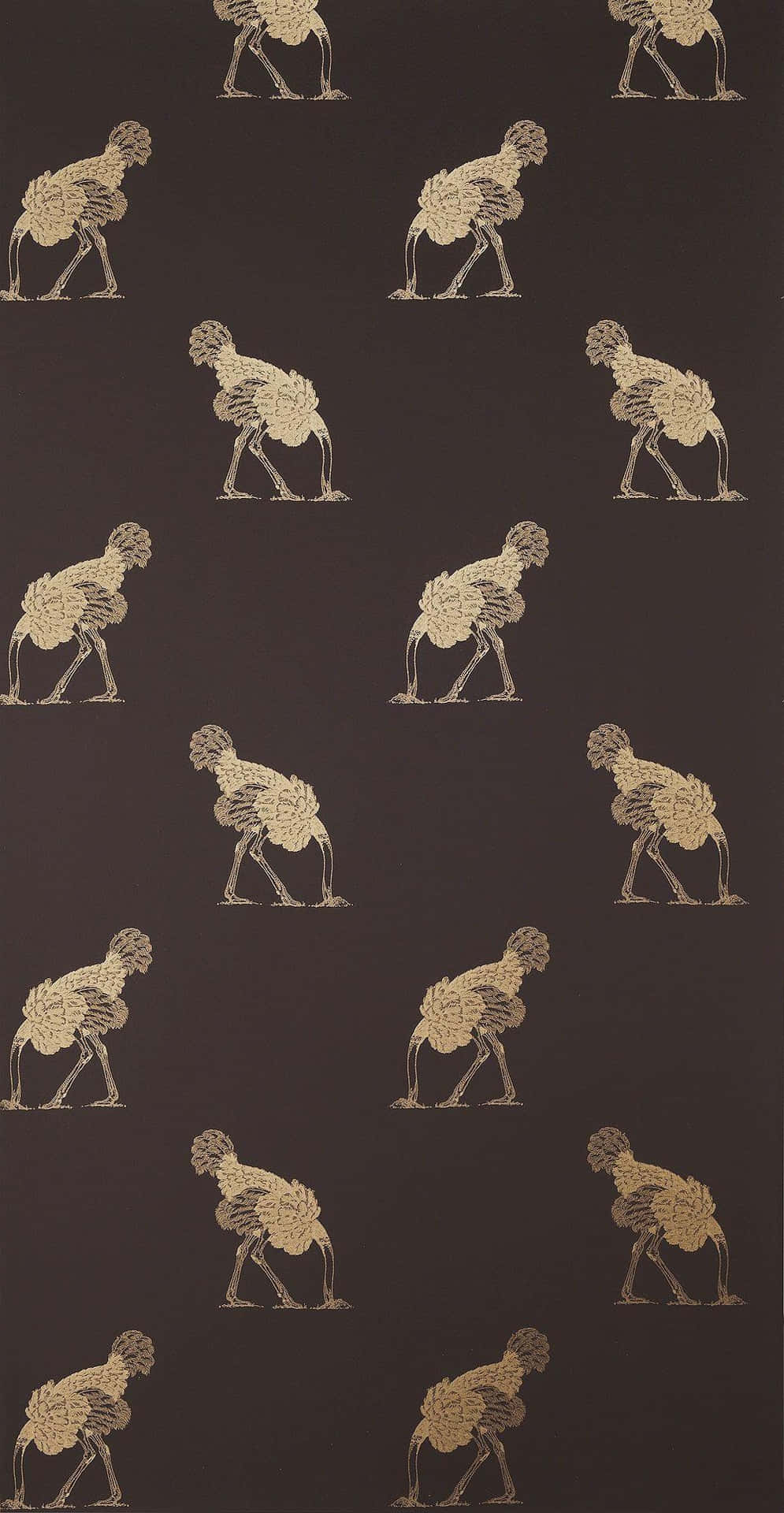 Ostrich Motion Sequence Pattern Background