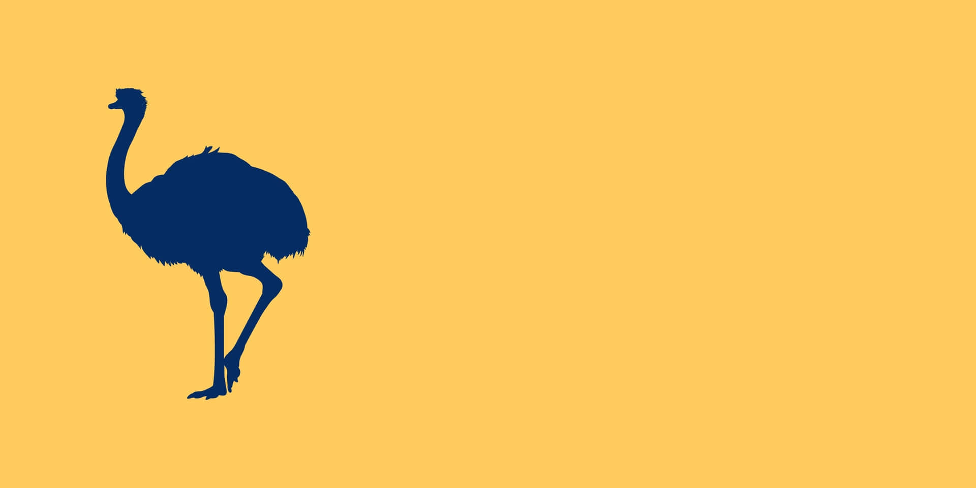 Ostrich Silhouetteon Yellow Background Background