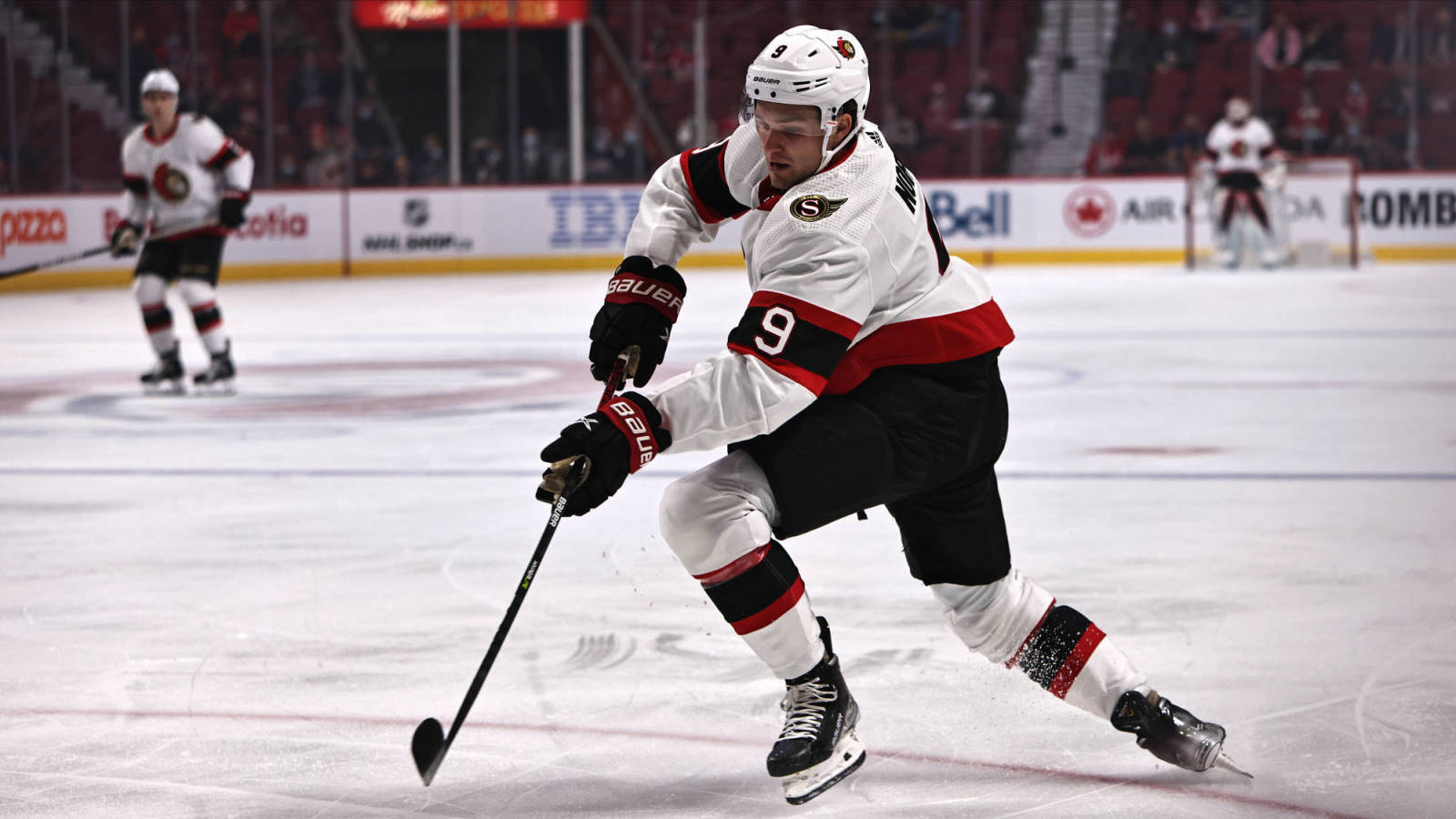 Ottawa Senators Centre Josh Norris Background