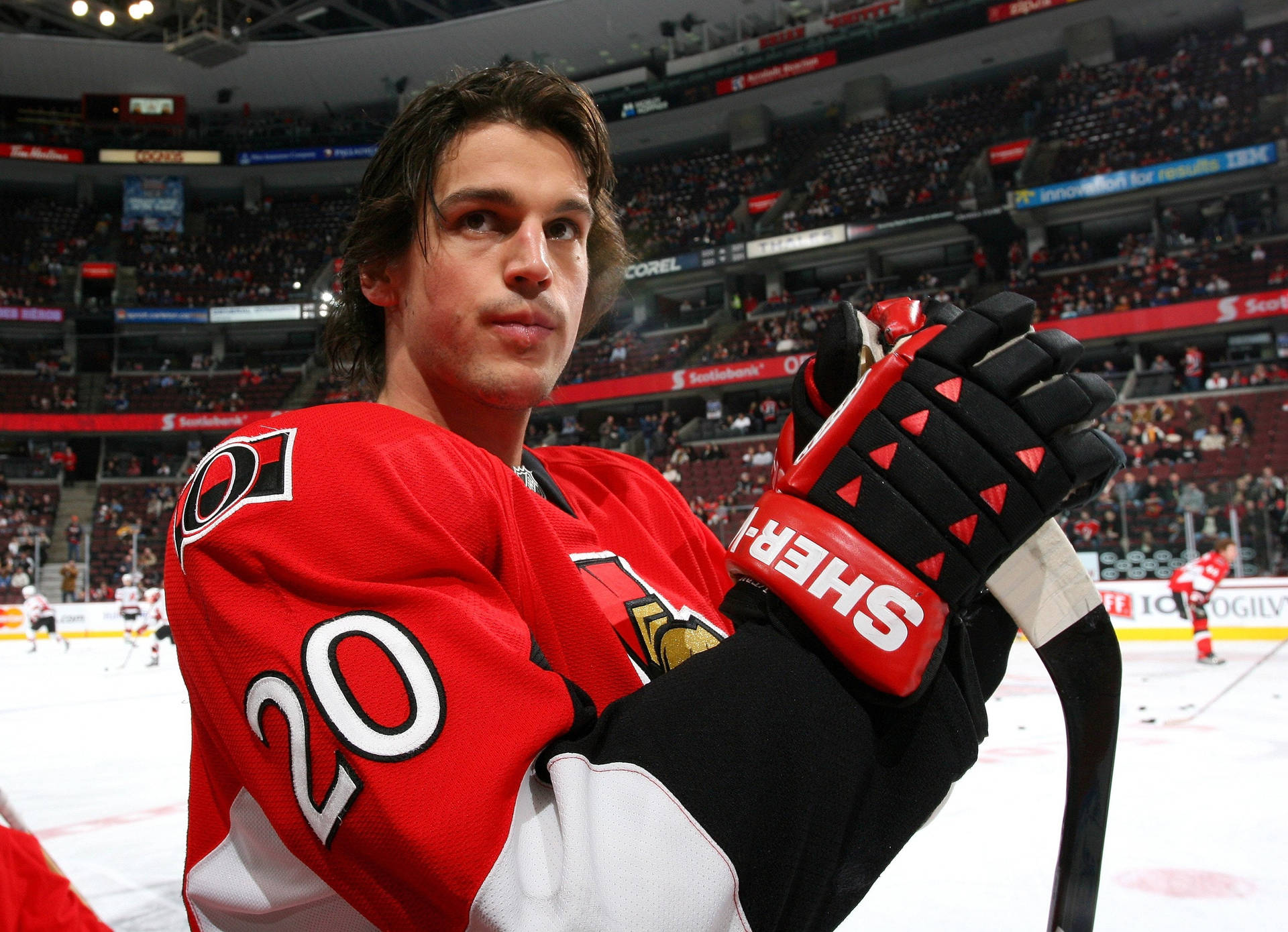 Ottawa Senators Player Photograph Background