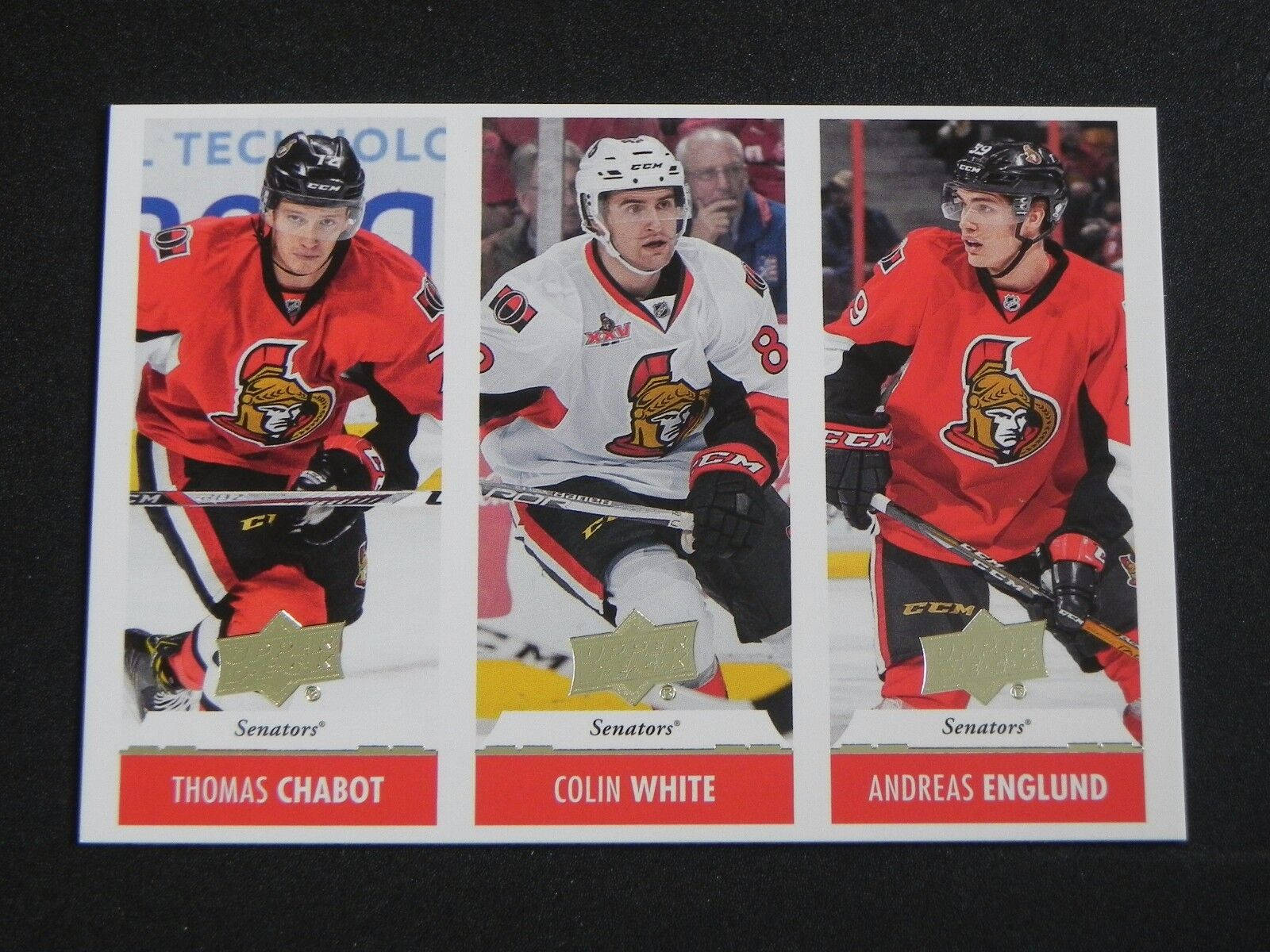 Ottawa Senators Players Thomas Chabot Background