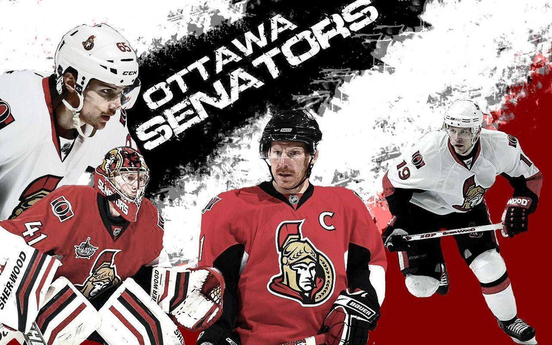 Ottawa Senators Star Players Background