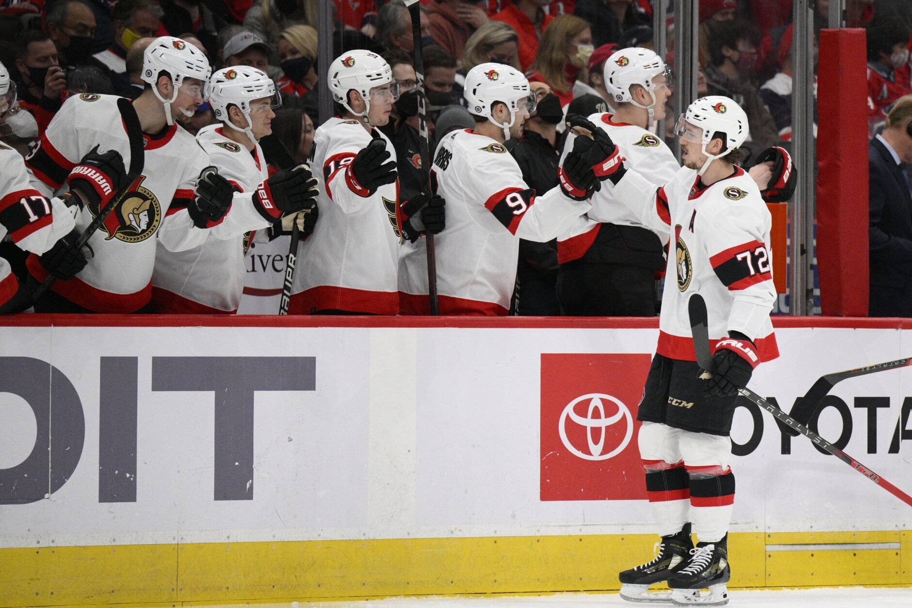 Ottawa Senators Teammates Thomas Chabot Background