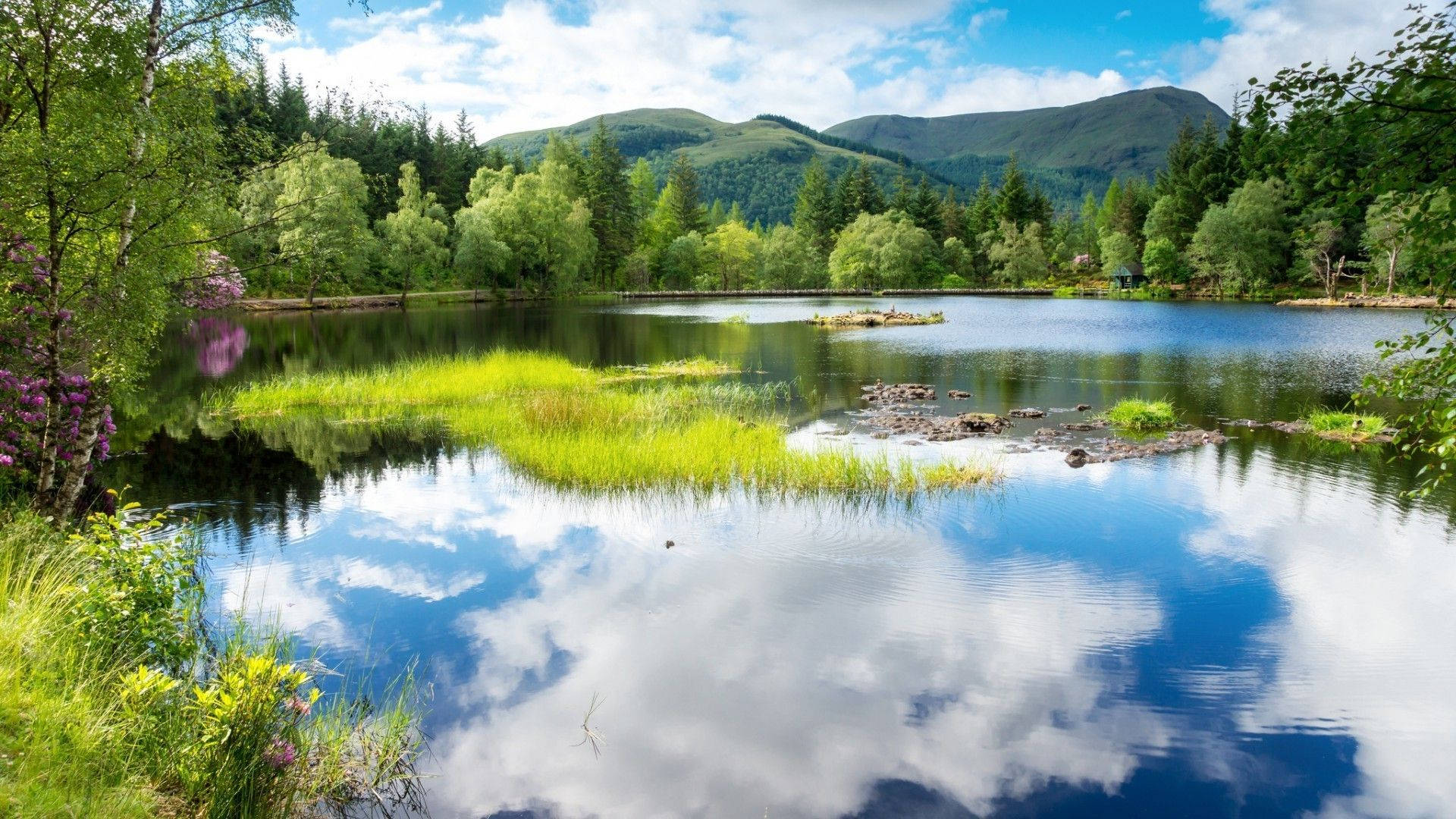 Outdoor Alpine Lakefront Background