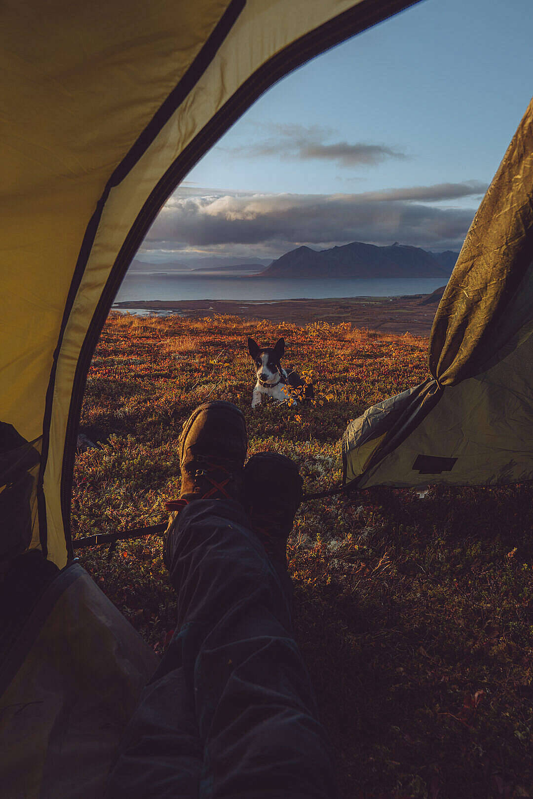 Outdoor Camping With Chill Iphone