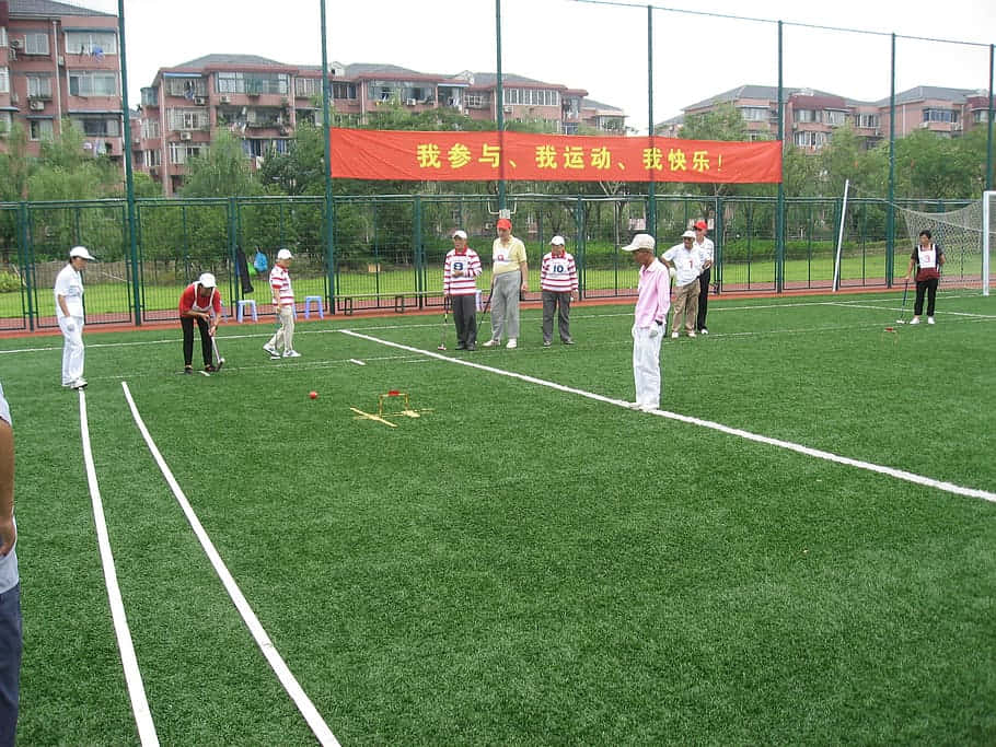 Outdoor Croquet Game Session.jpg