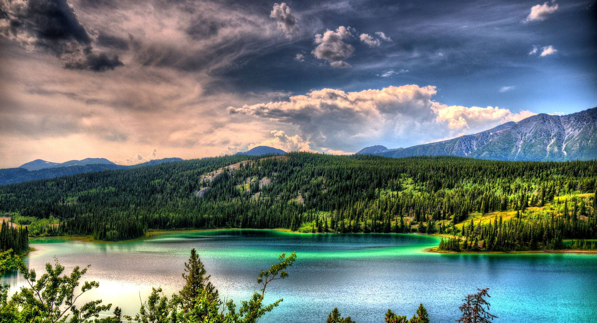 Outdoor Green Lake Background