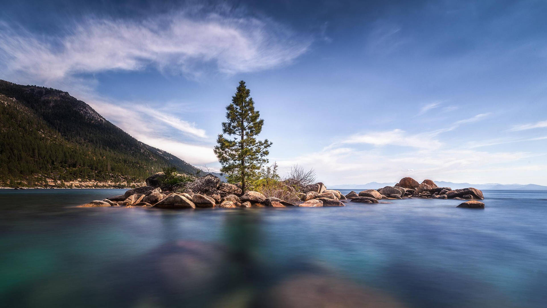 Outdoor Island With Tree