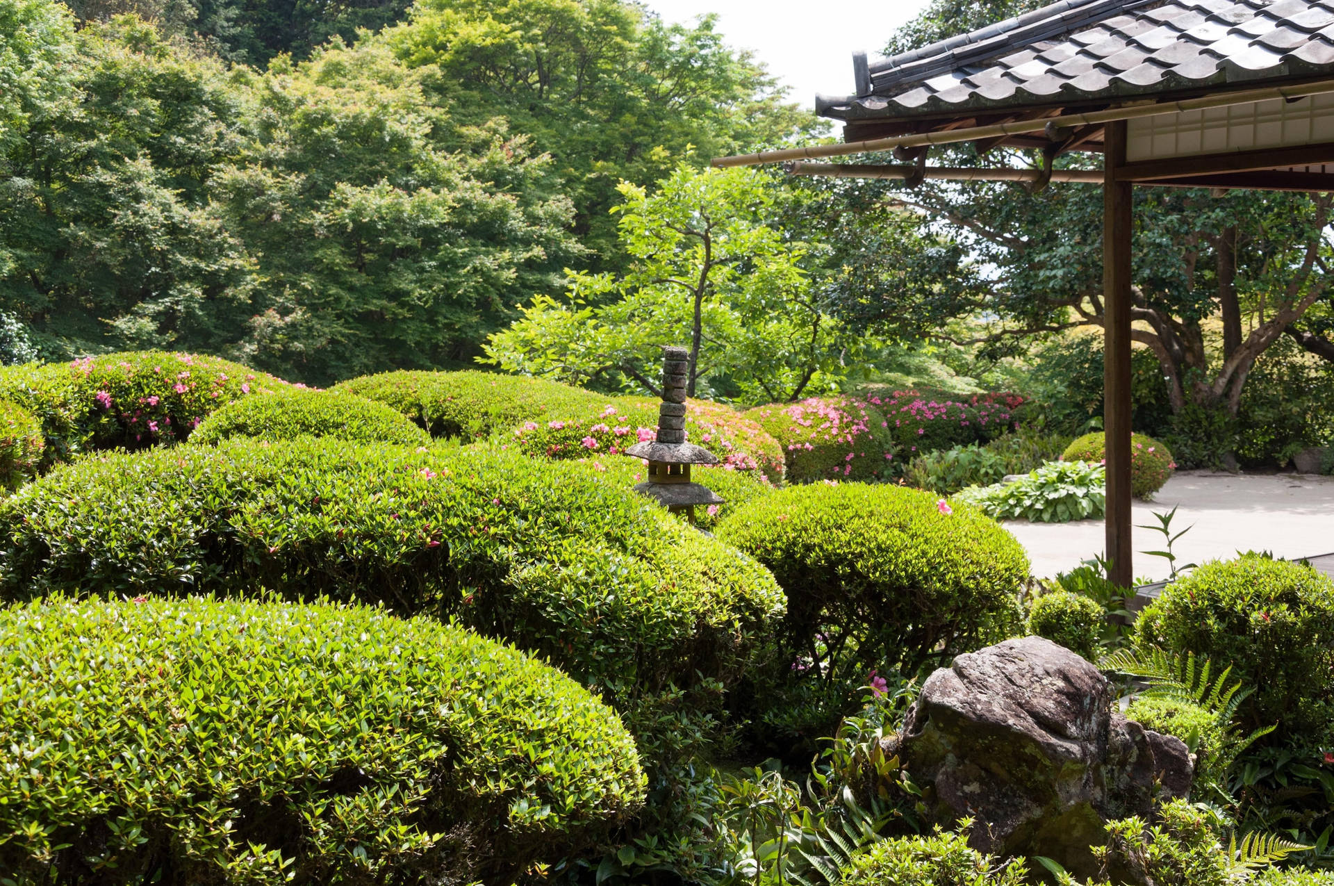 Outdoor Japanese Garden Background