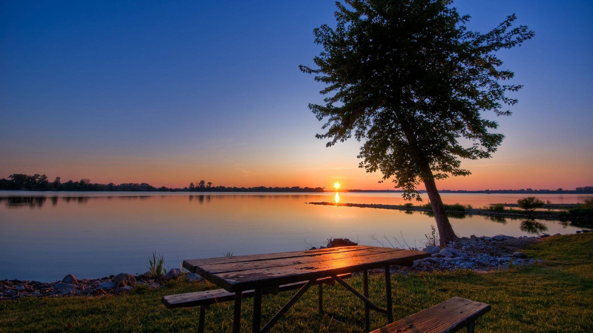 Outdoor Picnic Table Background