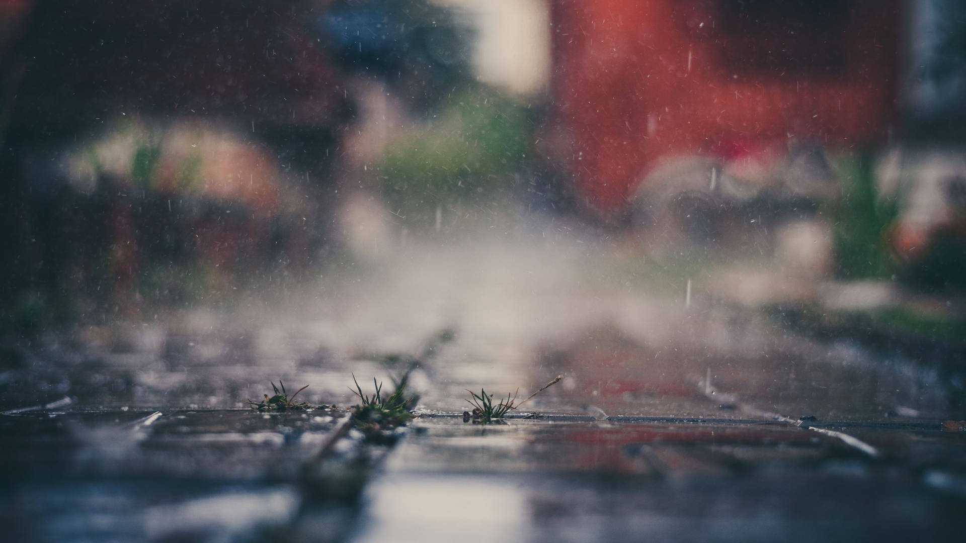 Outdoor Rainy Shot Background