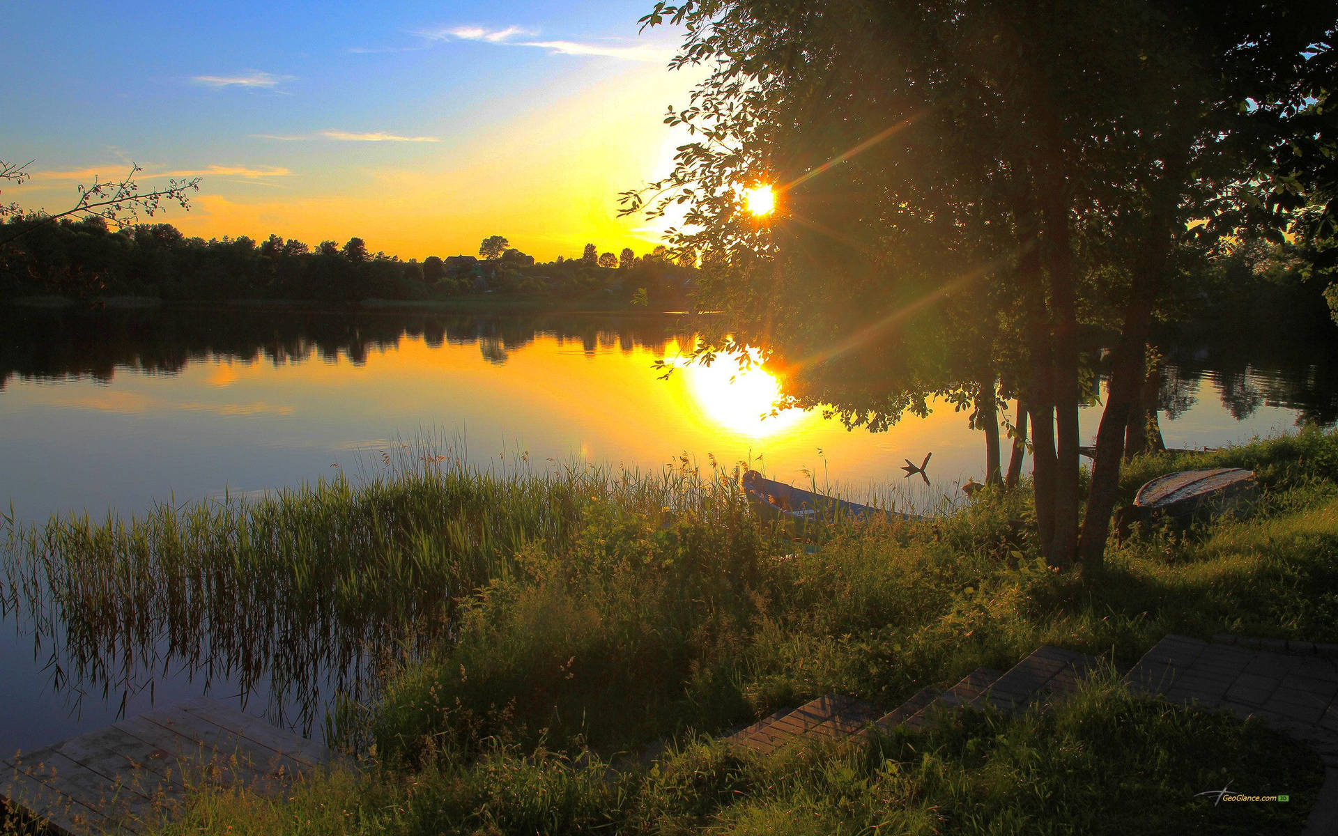 Outdoor Reeds Background