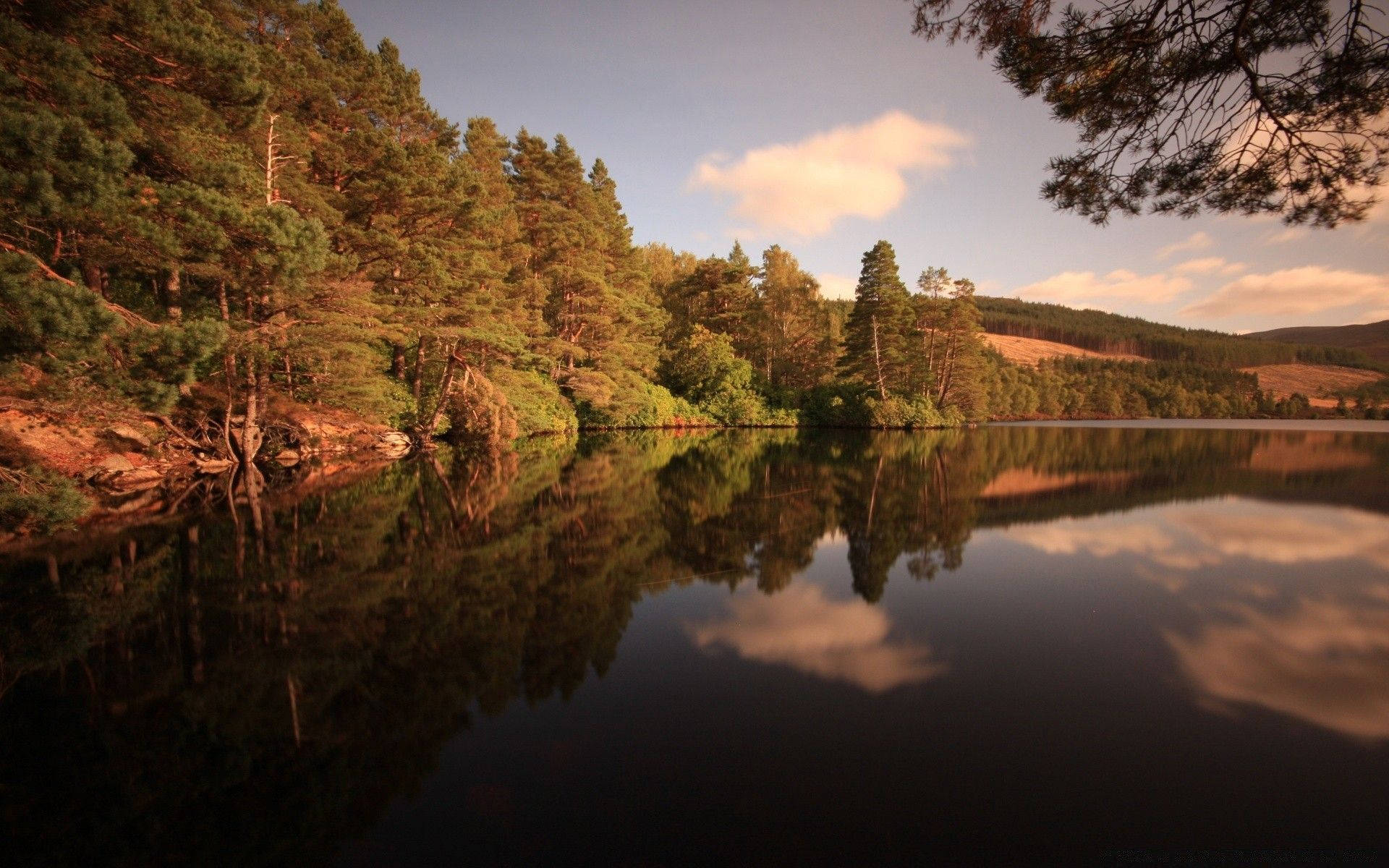 Outdoor Reflective River Background