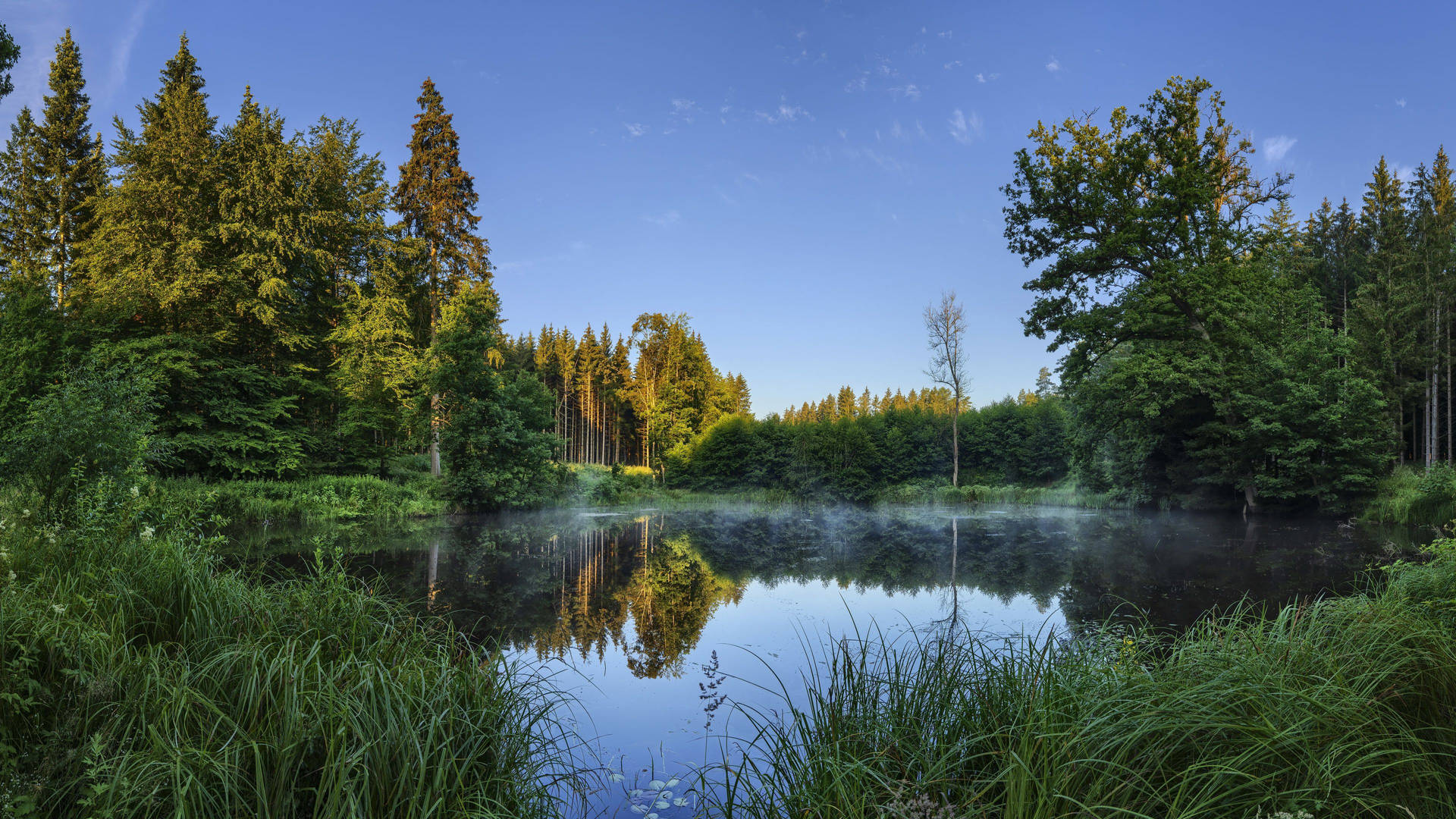 Outdoor Small Lake