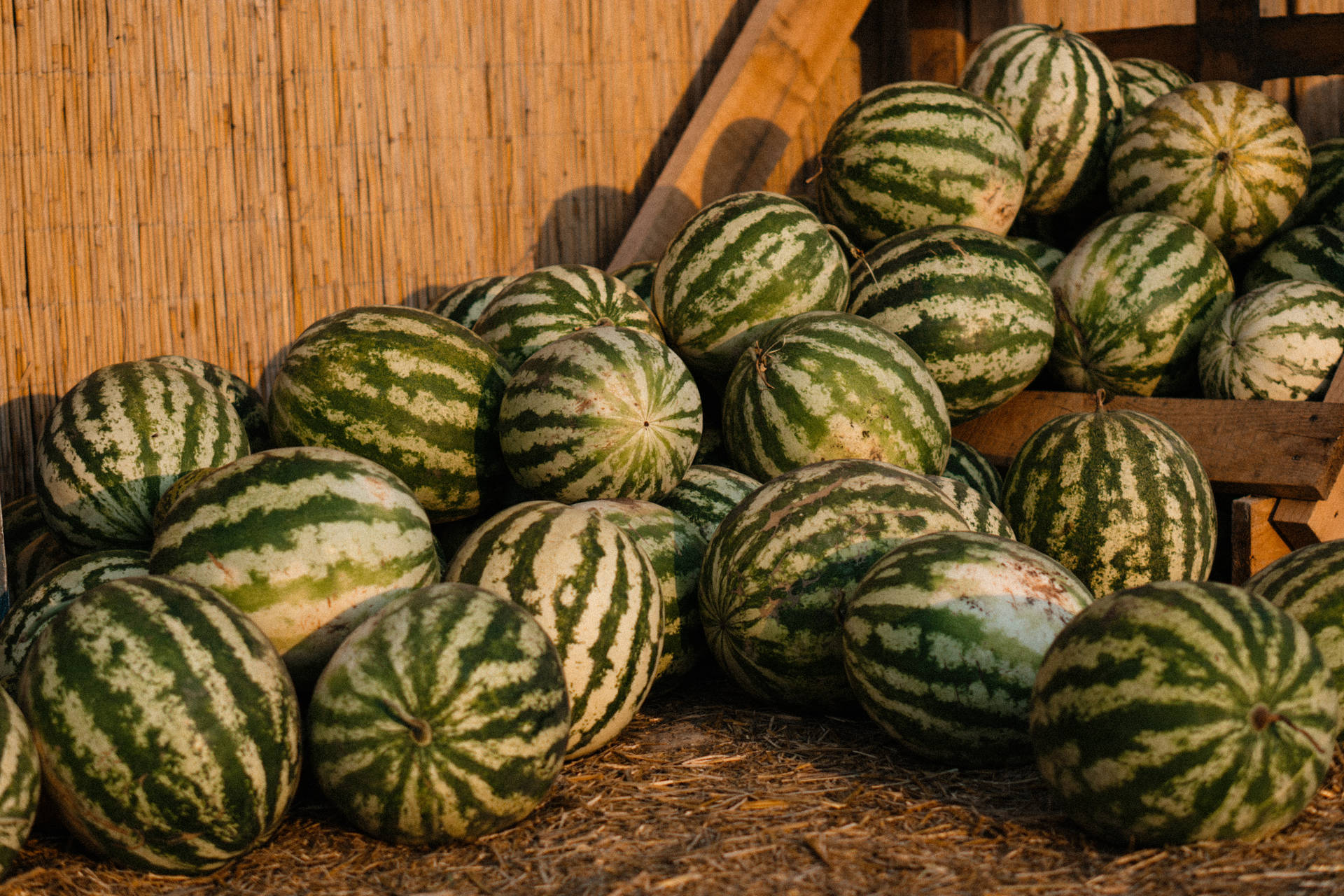 Outdoor Watermelon Pile Background