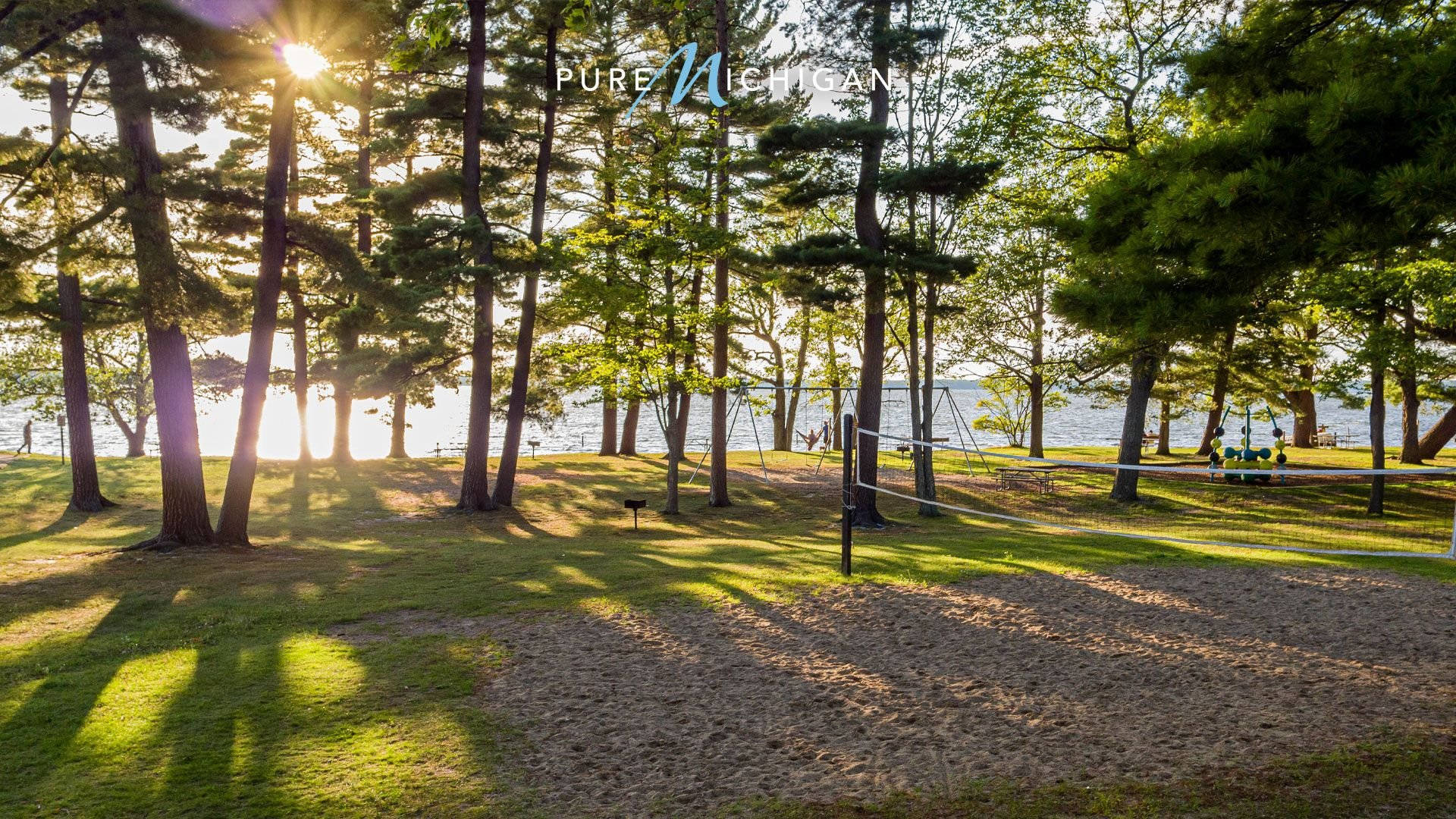 Outdoor Wooded Park Background