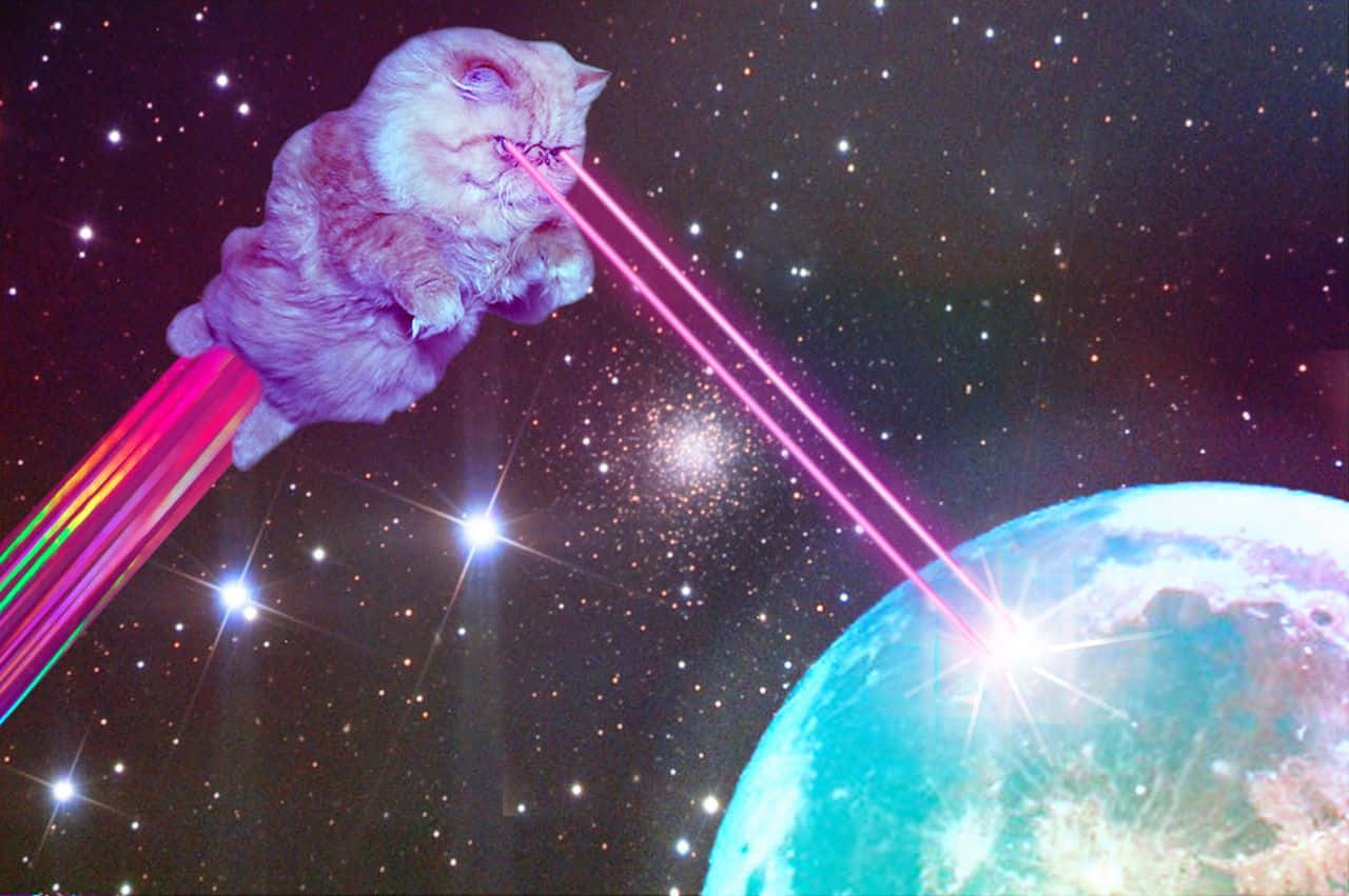 'outer Space Kitties Exploring The Unknown'