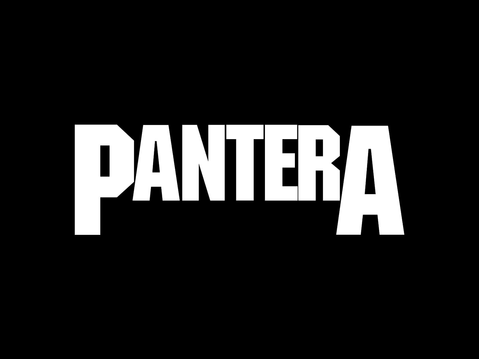 Outfit For Combat: Pantera Background