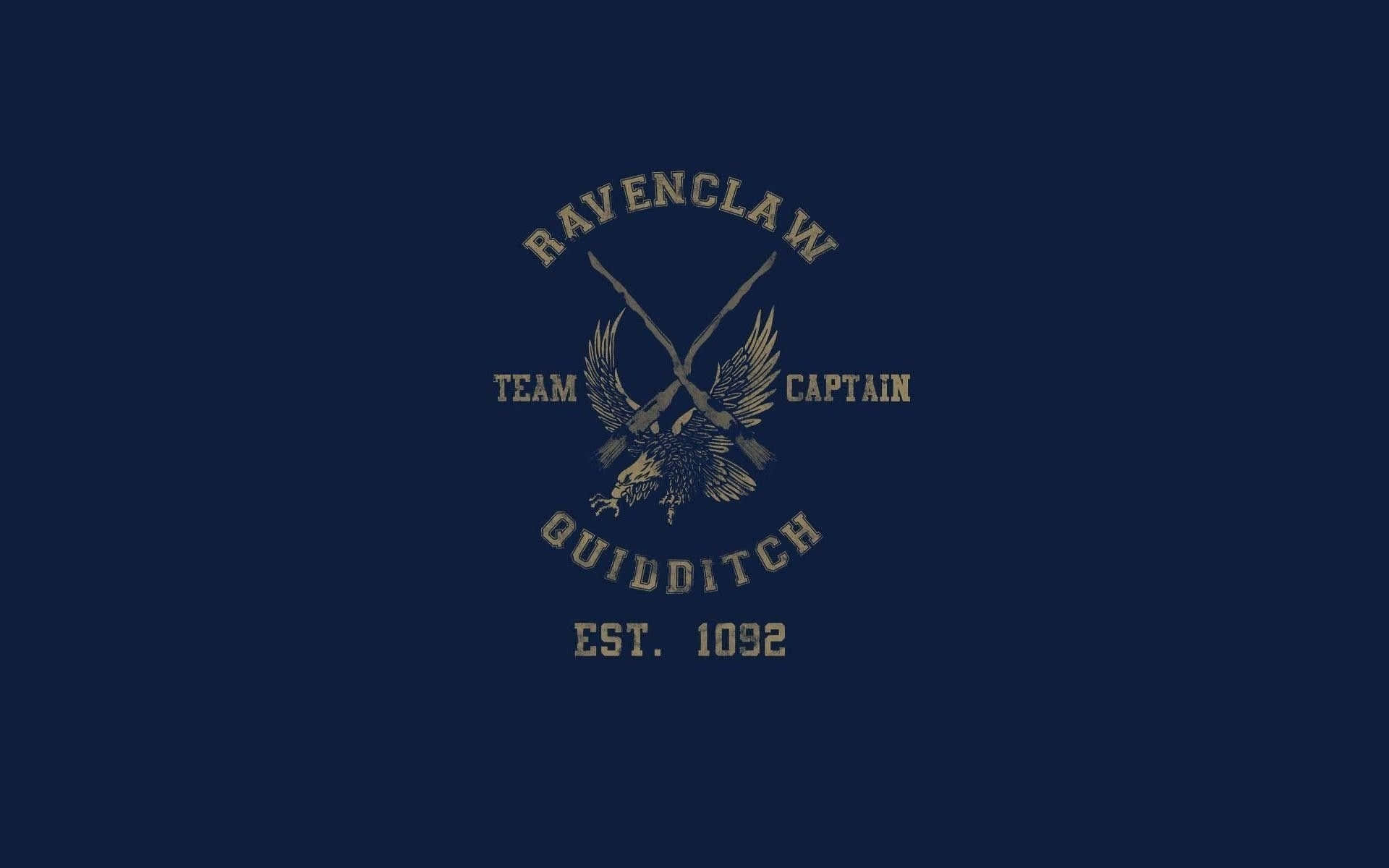 Outfit With Ravenclaw House Colours Background