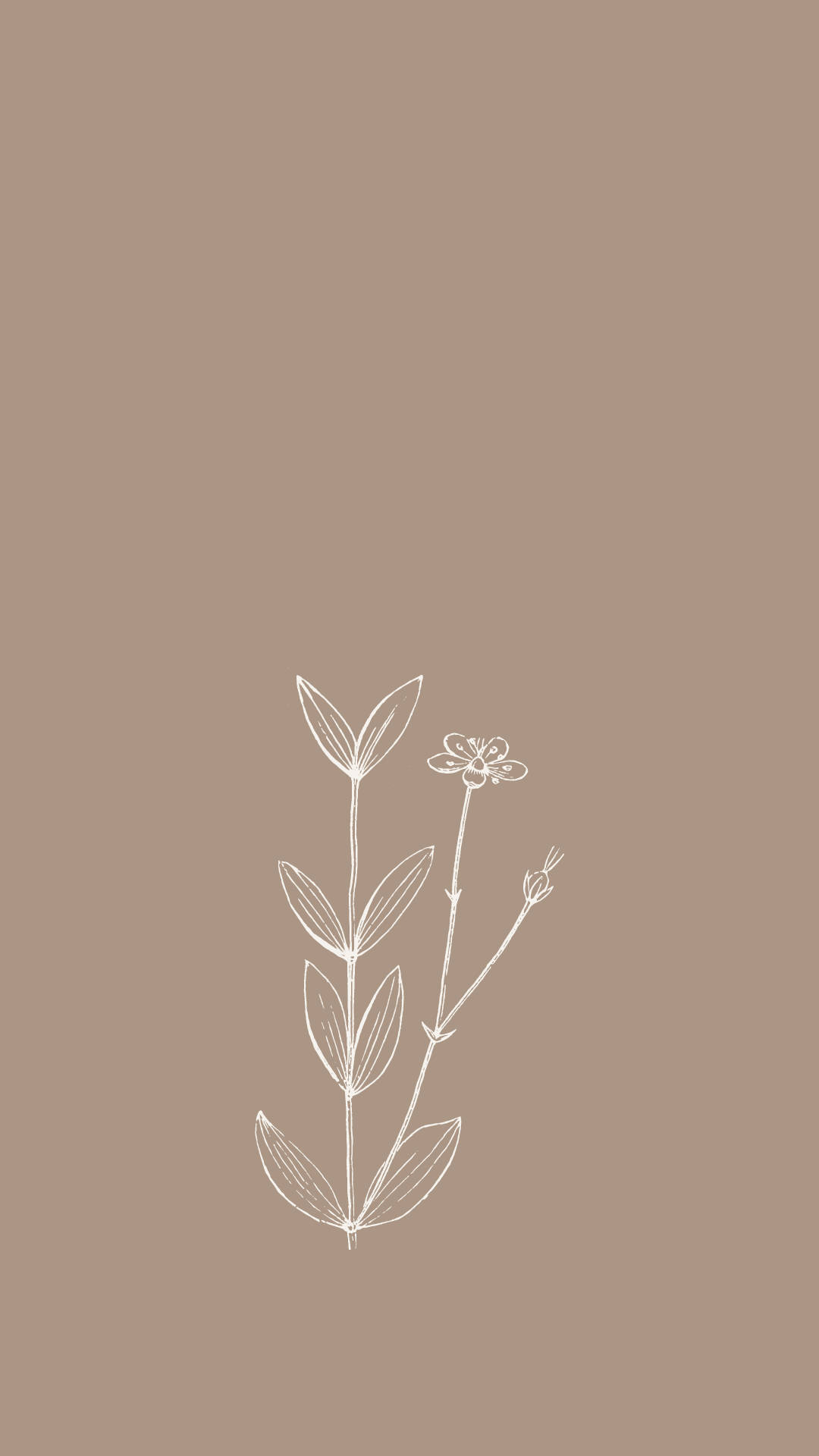 Outline Spring Aesthetic Background