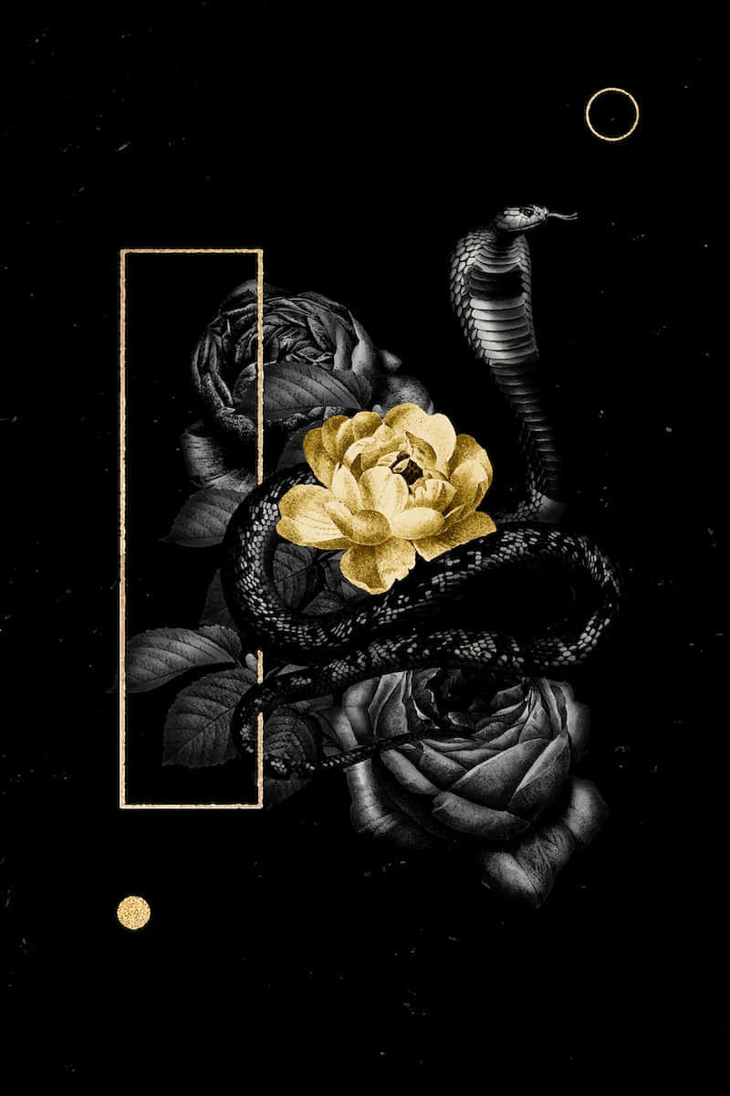 Outshine The Competition With A Black And Gold Aesthetic Background